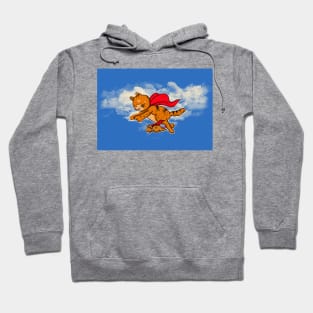 Superb Cat and Justice Rat Hoodie